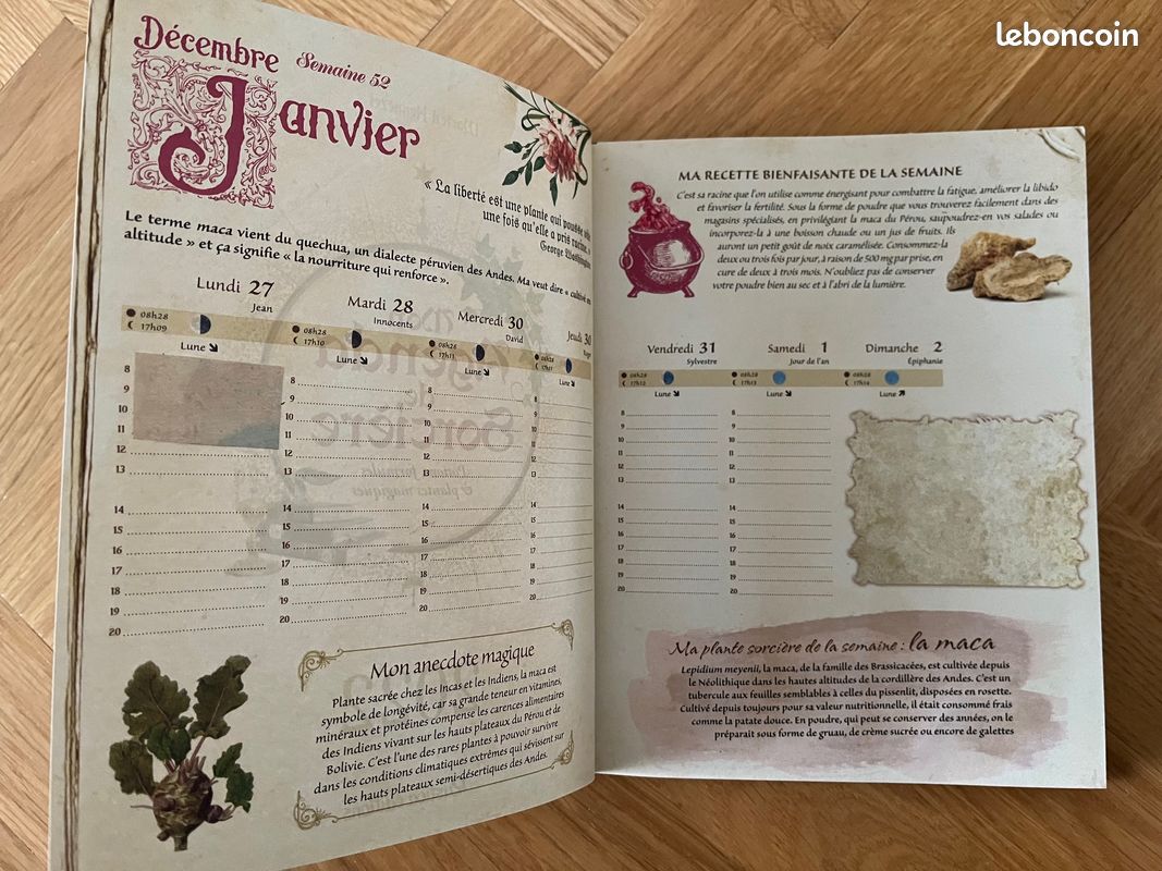 ''Mon Agenda de Sorcière 2022'', M. D'Hennezel, Rustica Éditions (image 5)