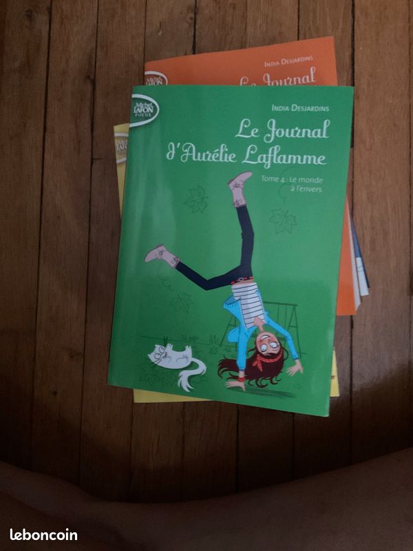 Intégrale du Journal d’Aurélie Laflamme (image 5)
