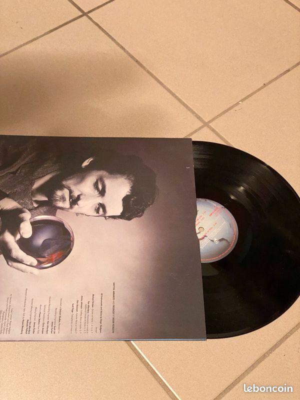 Vinyle 33T ROGER HODGSON In The Eye Of The Storm (image 4)