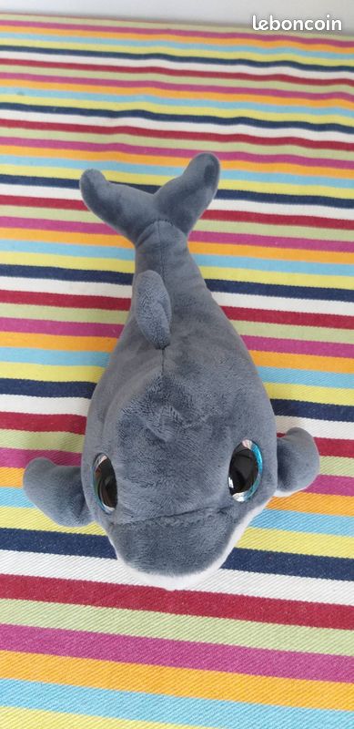 Dolphin aux yeux bleus brillantes (image 2)