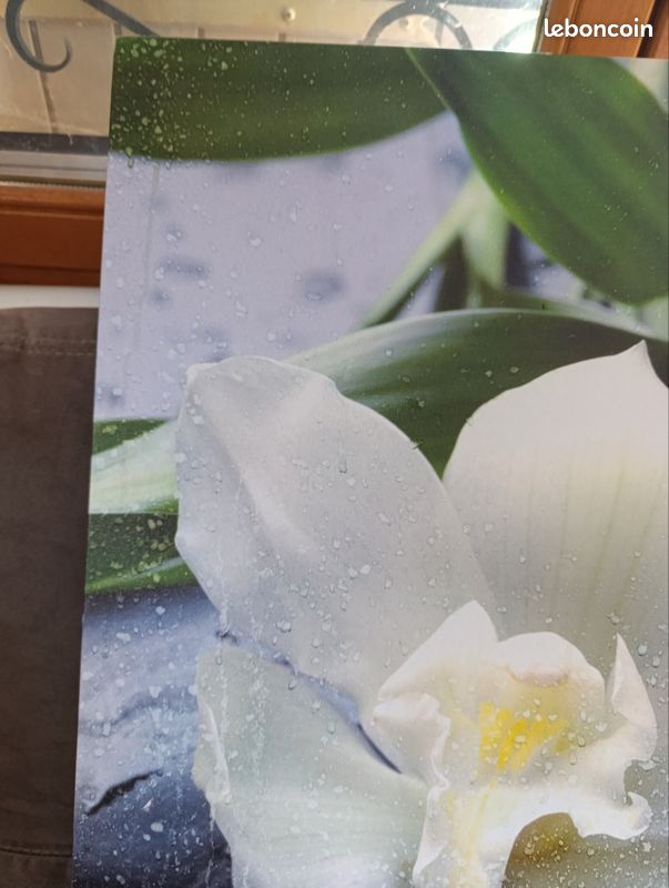 Cadre avec le dessin d'une orchidée blanche posée sur des galets avec des feuillages (image 2)