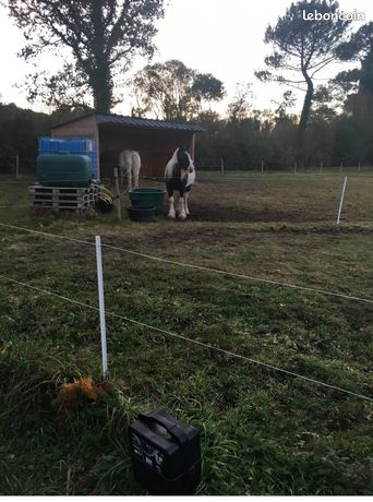 Loue terrain loisir pour cheval