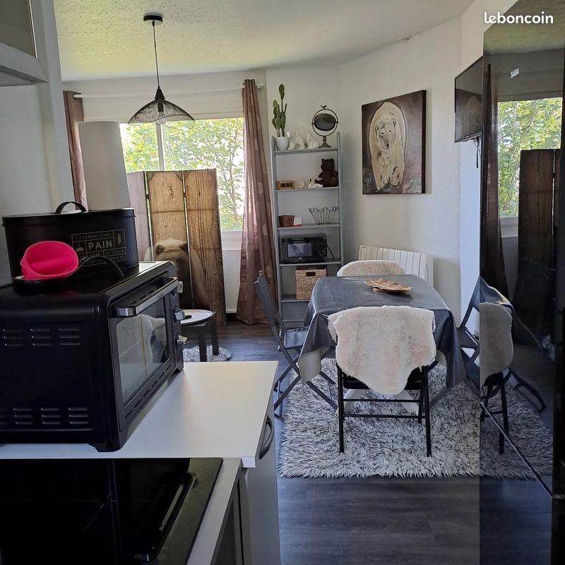 Appartement 1 pièce 28 m² · à Font-Romeu-Odeillo-Via · 28 m² · 425 €/mois