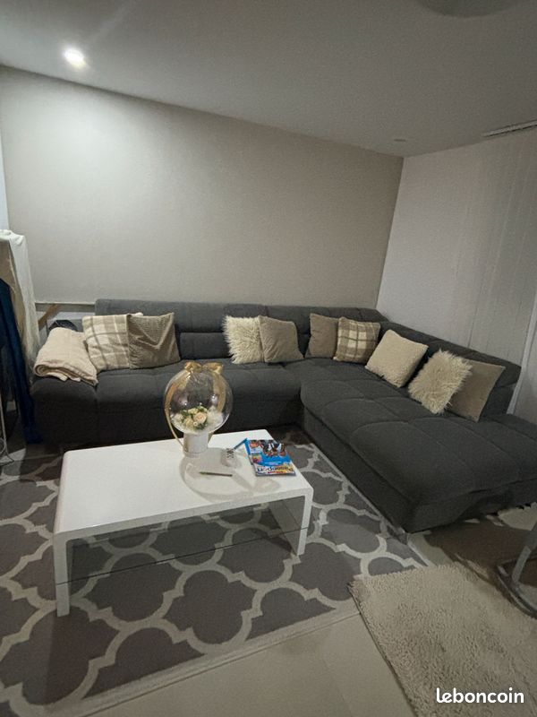 Canapé tapis et table basse (image 1)