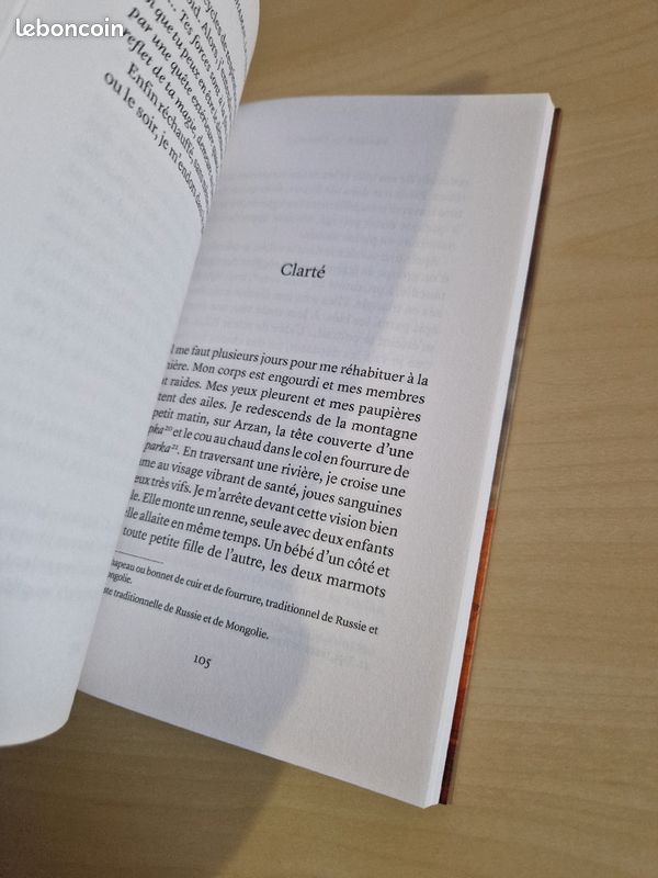 SHAMAN tome 1 La quête Tigran (image 5)