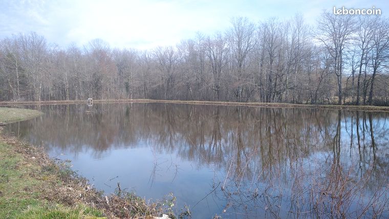 Etang de peche et chasse dans parc de la brenne