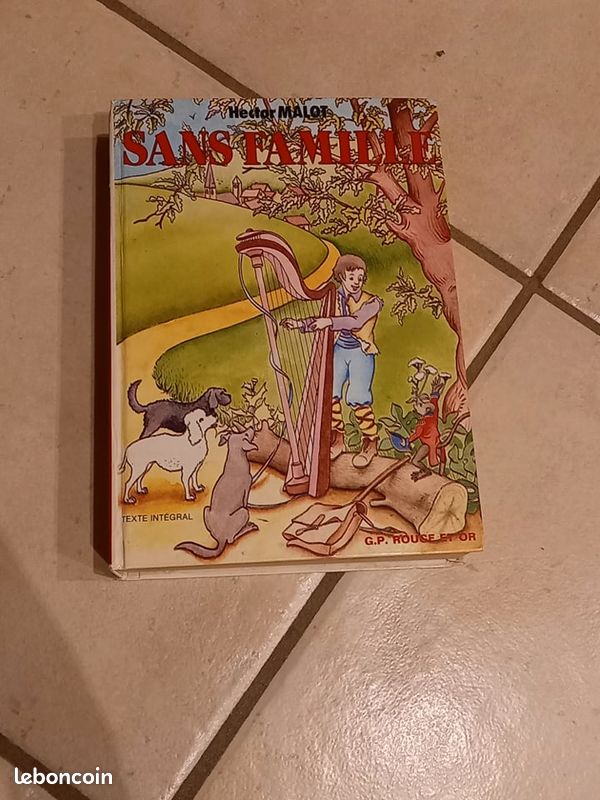 Livre Sans famille (image 1)