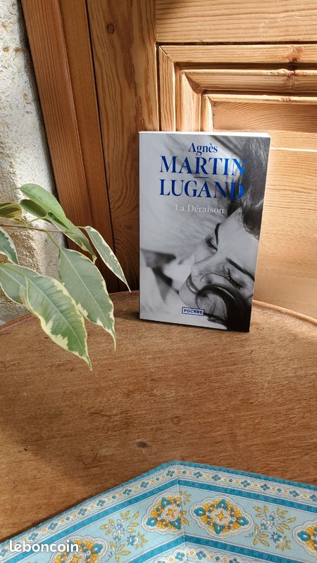 Martin Lugand (image 2)