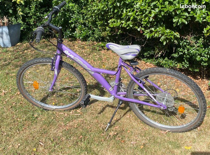 Vélo tout terrain (image 1)