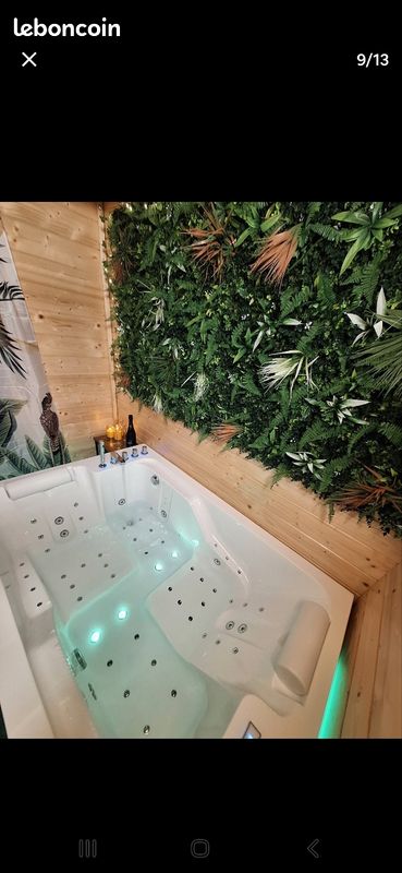 Chalet spa balnéo privé (image 7)