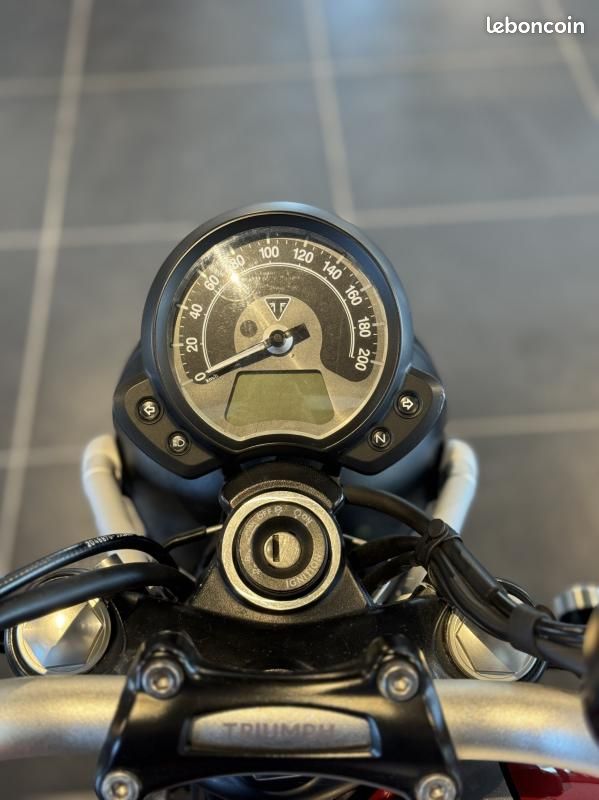 Triumph STREET SCRAMBLER 900 A2 1 ERE MAIN (image 4)