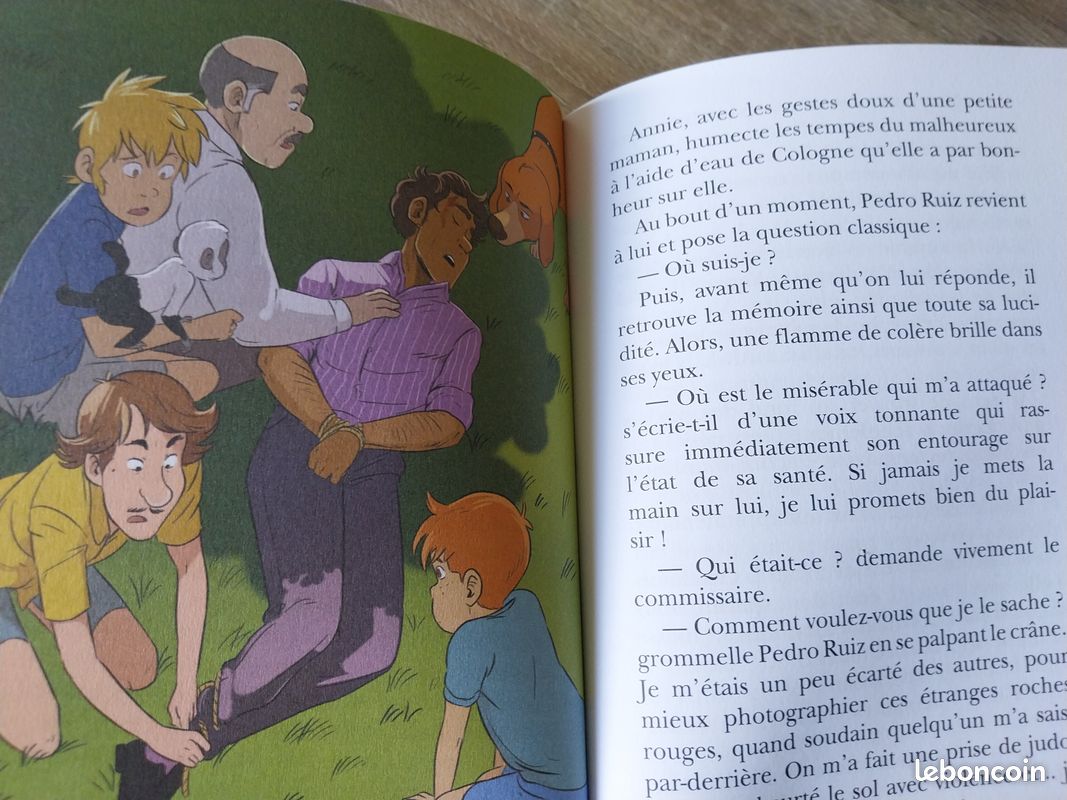 Les 5 contre le Masque noir Bibliothèque verte (image 3)