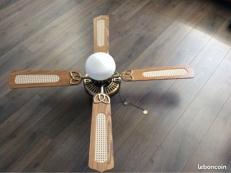 Luminaire ventilateur et brasseur d’air (image 1)