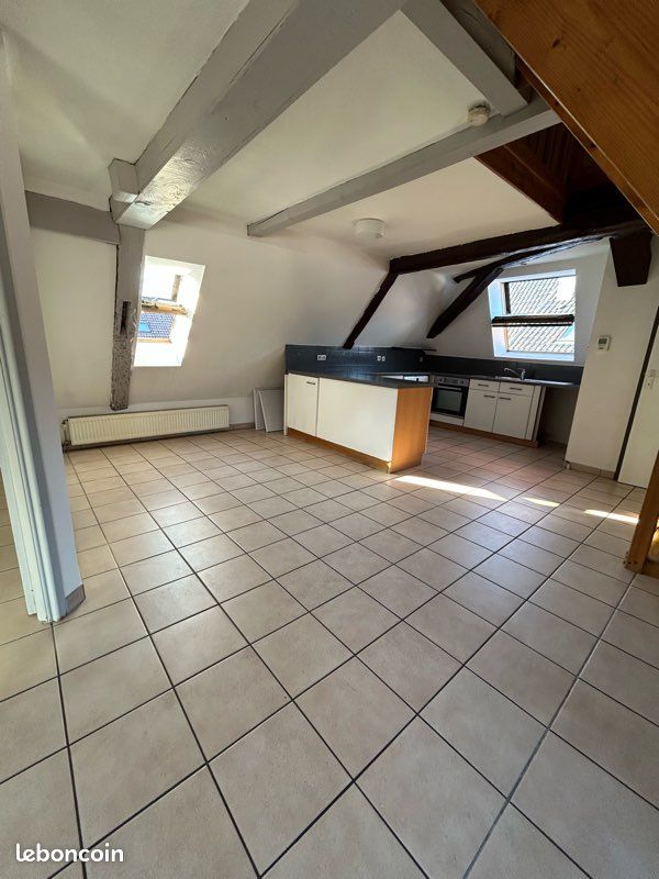 Appartement 3 pièces 100 m² · à Dannemarie · 100 m² · 650 €