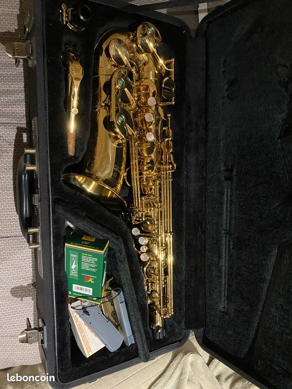 Saxophone alto w01 yanagisawa (image 1)