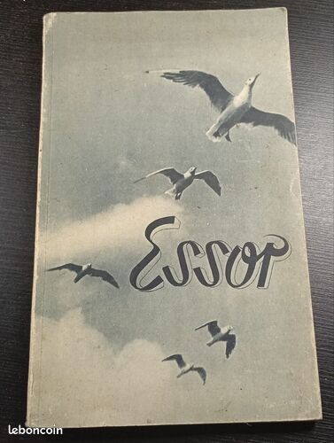 [Livre] Essor - Bon état (image 1)