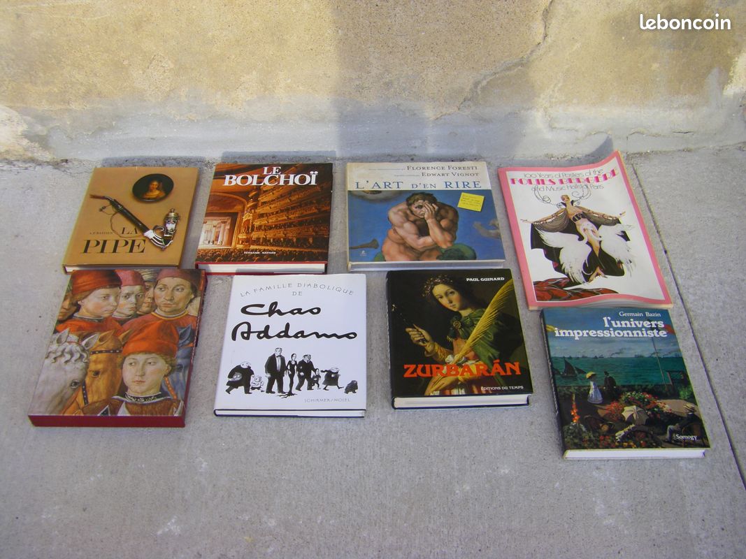 Collection de livres sur l'art, géographie ..en lot ou à la pièce (image 3)
