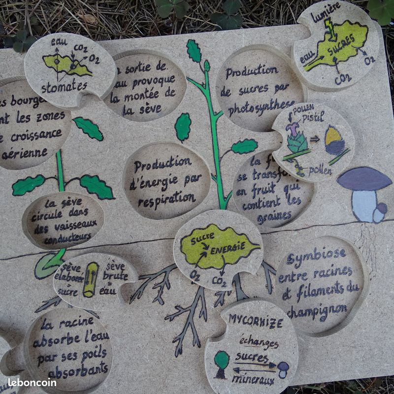 [Fait main][NEUF] Puzzle / jeu d'encastrement feuilles d'arbre, animaux, plantes (image 9)
