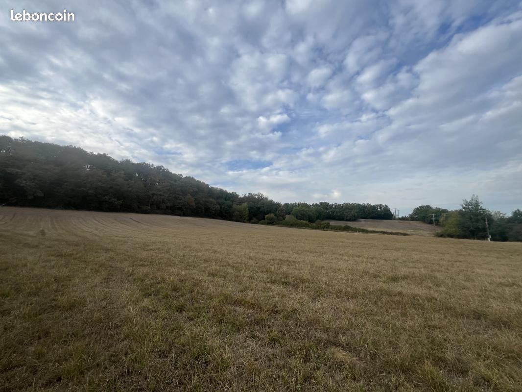 Terrain 536 m² · à Mézens · 76 979 €