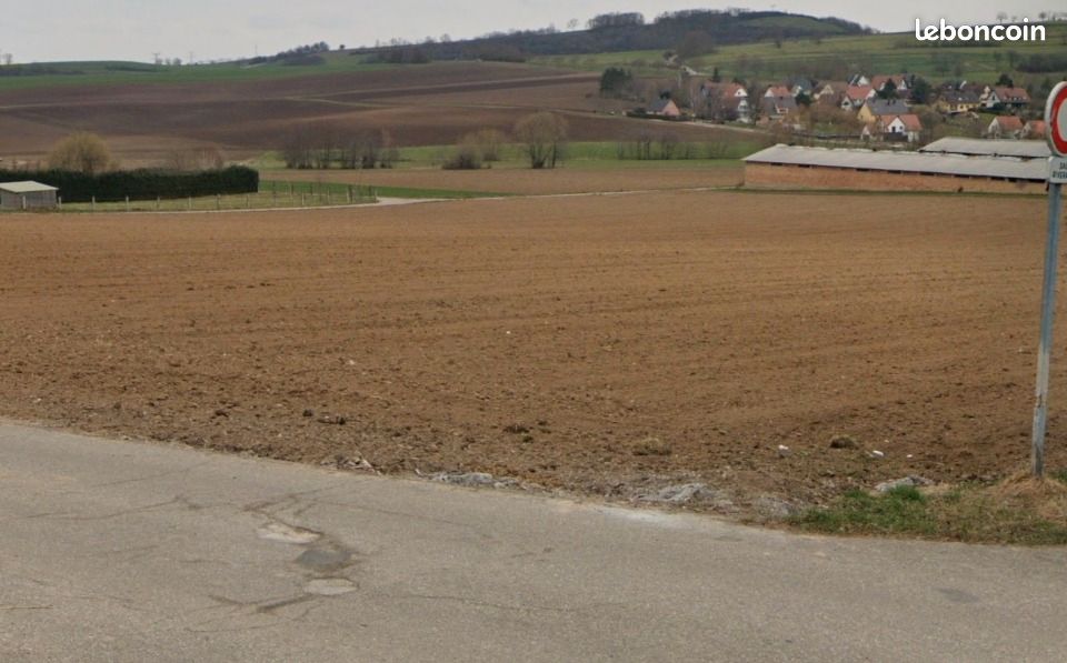 Terrain 3100 m² · à Willgottheim · 270 000 €