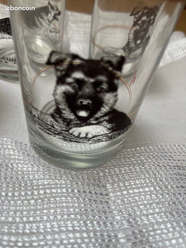 4 verres Royal Canin (image 2)