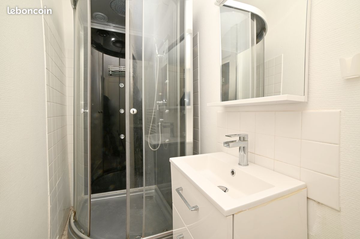Studio + terrasse privée hyper centre Poitiers - Poitiers 86000 (image principale 5)