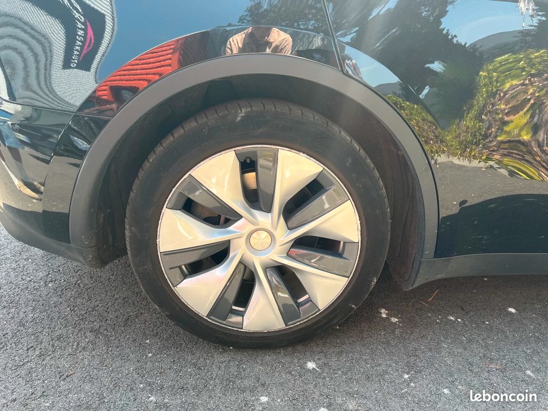 TESLA MODEL Y Standard RWD (image 9)
