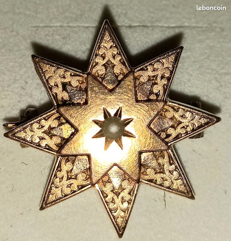Superbe Ancenne Broche Plaqué Or Feulle Et Branche Neuf De Fond De