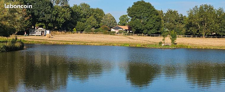 PROPRIETE. Maison-etang -terres