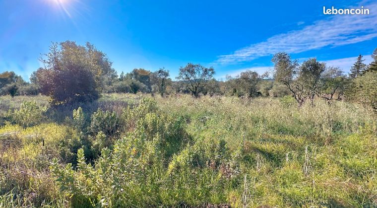 Terrain 1 381 m² Bagnols En Foret