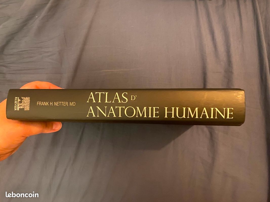 Atlas d'Anatomie Humaine (image 3)