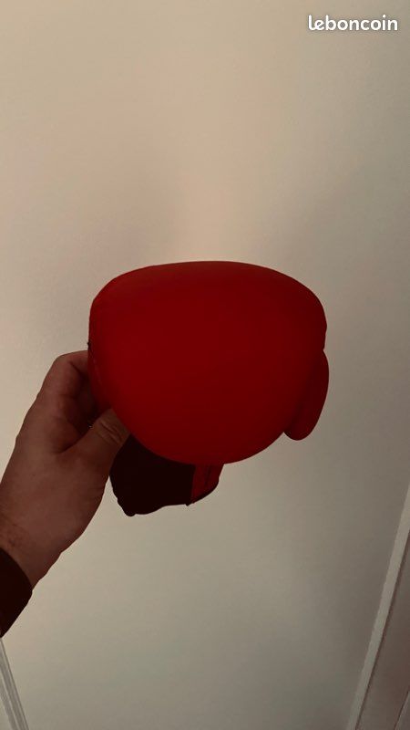 Gants Boxe enfant FKT 180 (image 4)