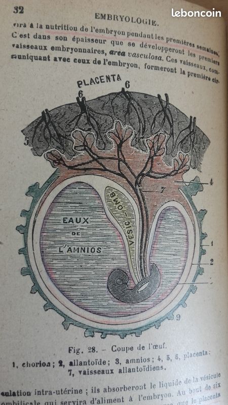 Livre ancien (1939) -Nouvel Abrégé d'Anatomie Descriptive (orné de 205 figures) (image 4)