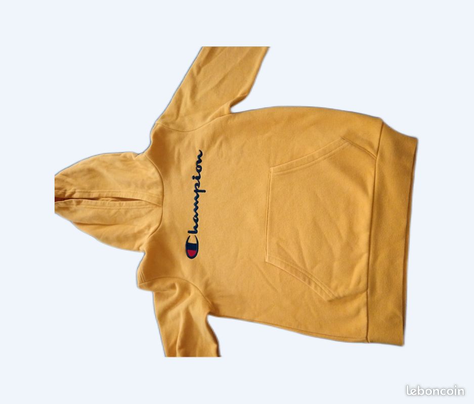 Vetements Boufarik Pull Champion Garcon Sweatshirt à Capuche