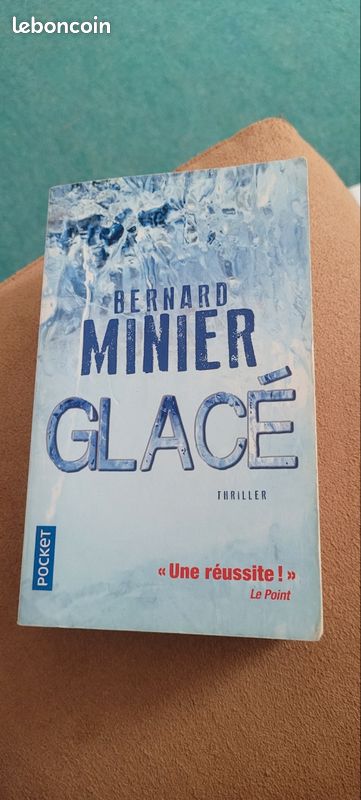 Glacé- Bernard Minier (image 2)