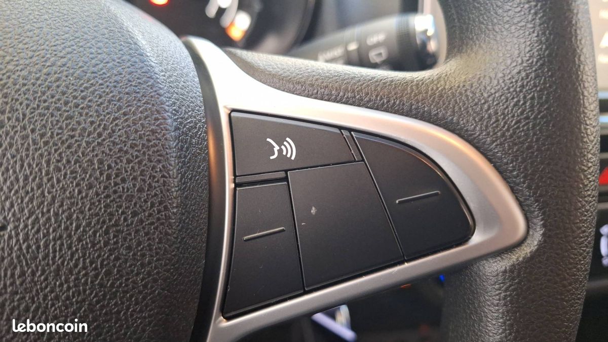 Dacia spring expression (image 22)