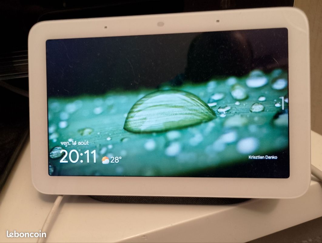 Google home nest hub (image 1)