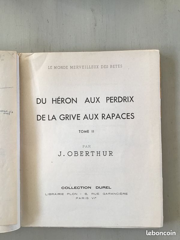 Du héron aux perdrix, de la grive aux rapaces par J.Oberthur (image 4)
