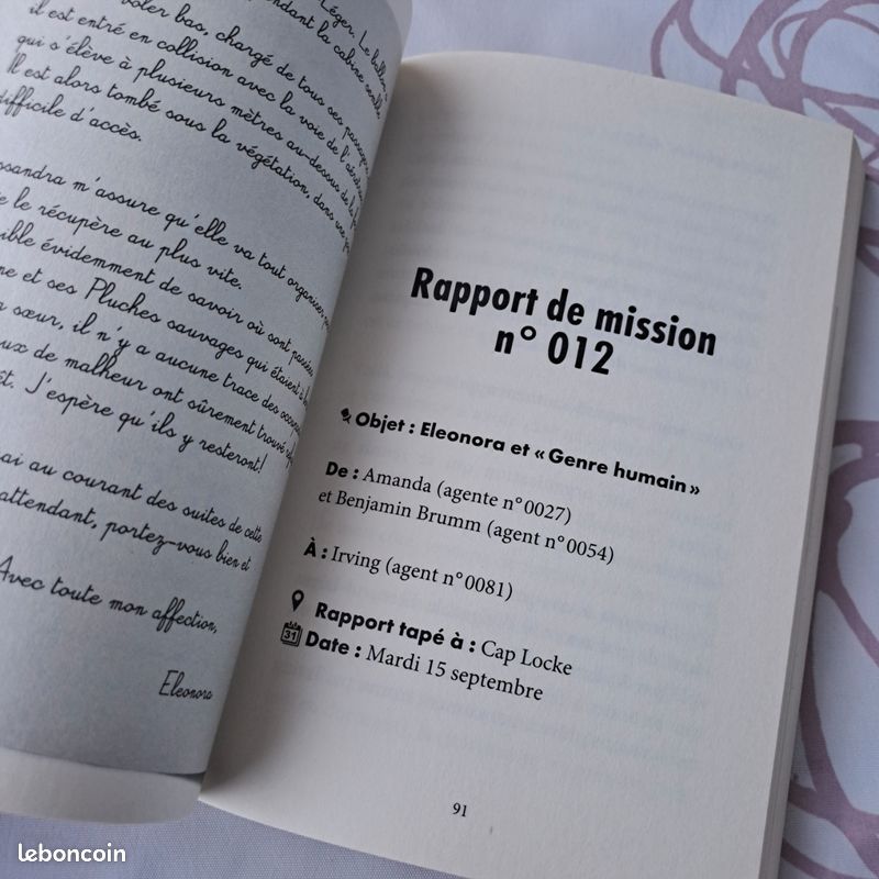 Livre Les Enquêtes de Brum et Irving (image 4)