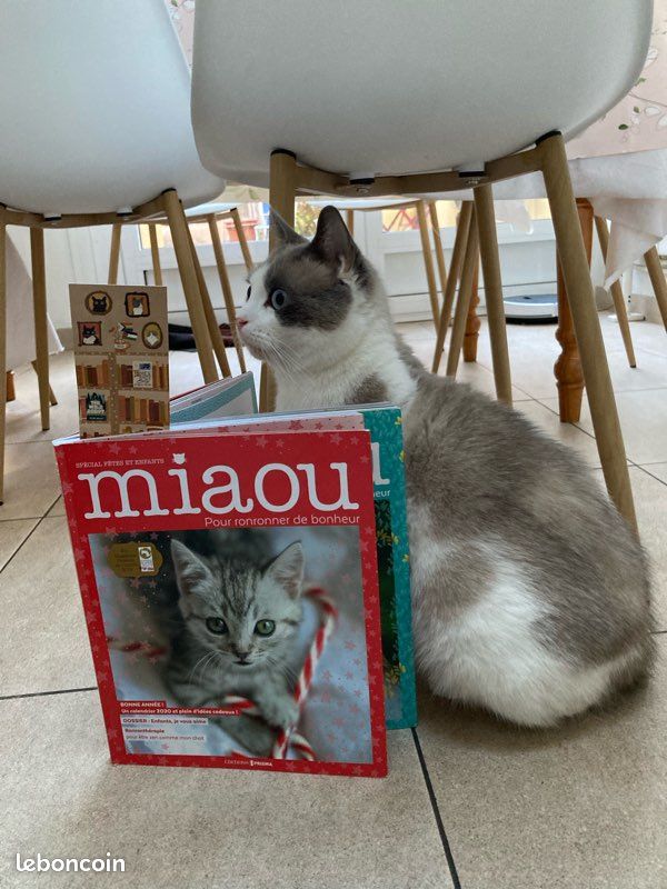 Livres miaou (2)😻 (image 16)