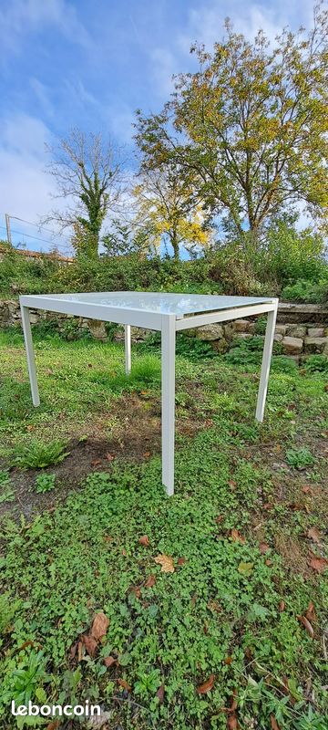 Table + chaises (image 1)