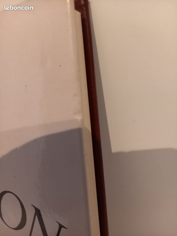 Livre Les grands dossiers de l'illustration La montée du nazisme (image 4)