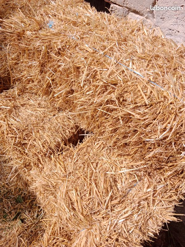 Petites bottes de paille (image 1)