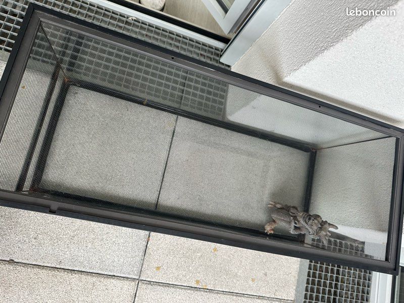 Terrarium en bon état – idéal serpent / lézard / NAC (image 2)