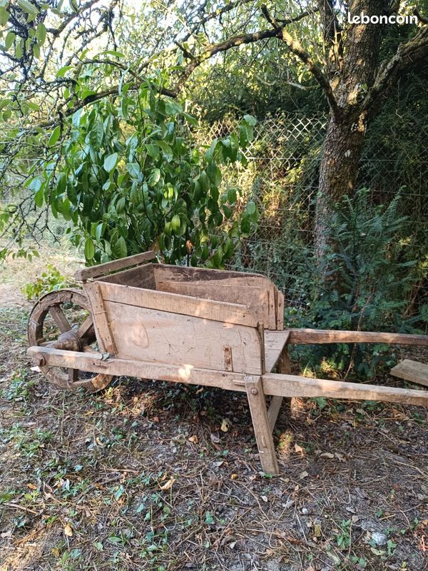 Ancienne brouette (image 2)