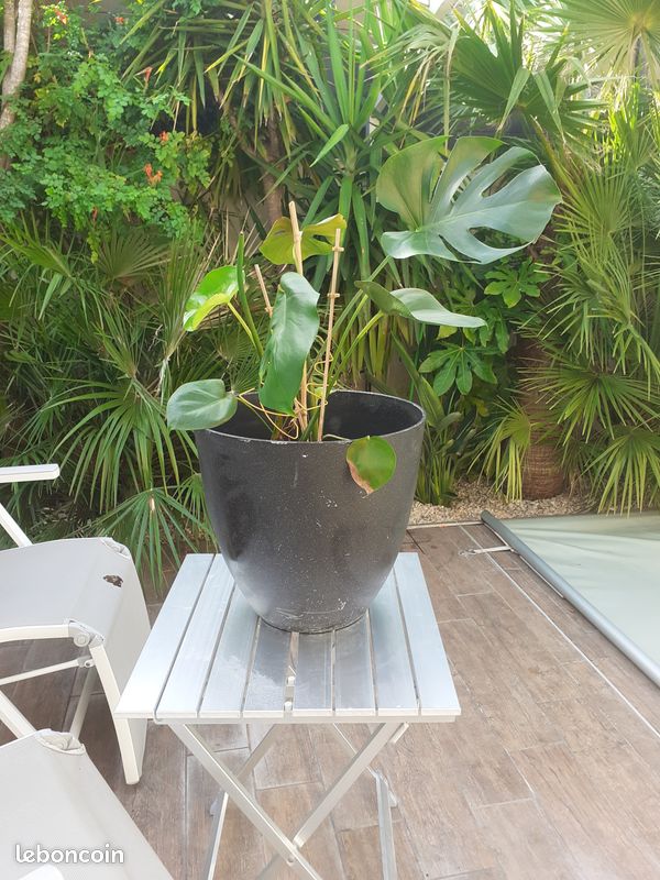 Grand pot de fleurs noir effet pierre 34x38cm (VENDU SEUL SANS PLANTE) (image 1)