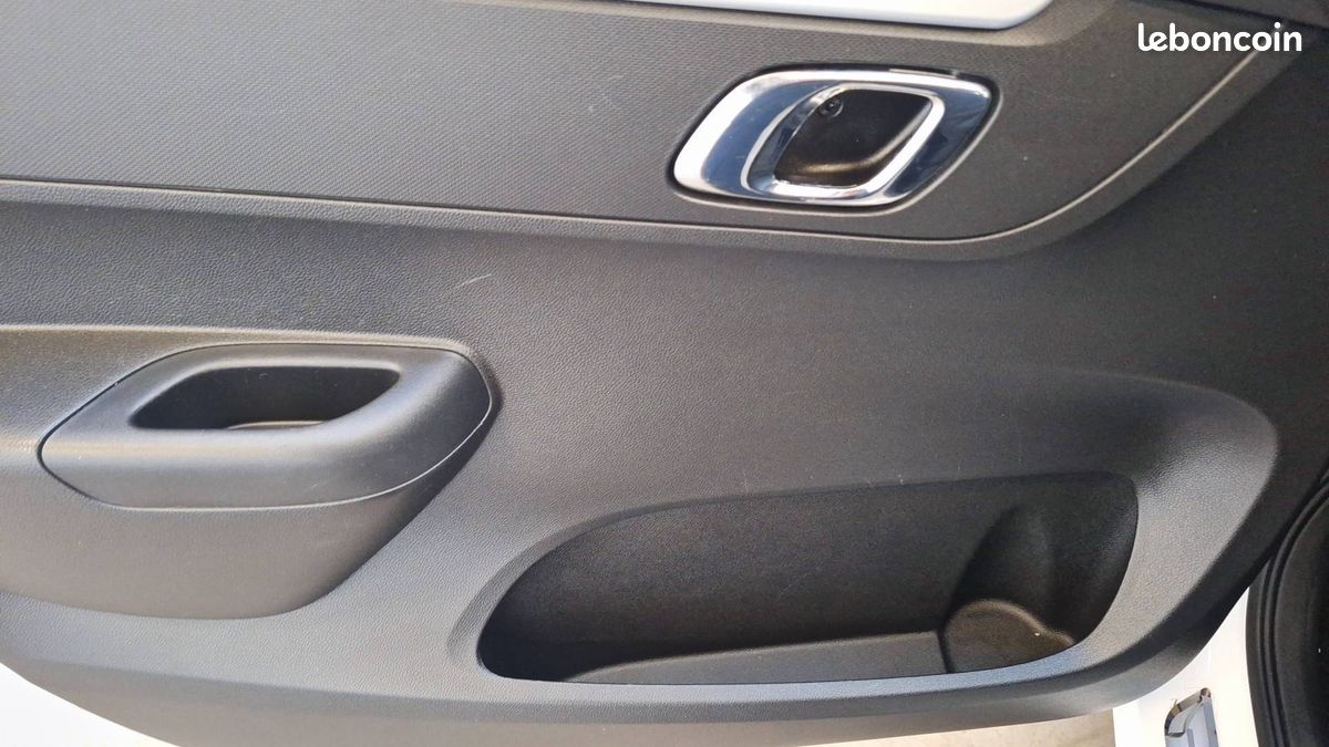 Dacia spring expression (image 15)