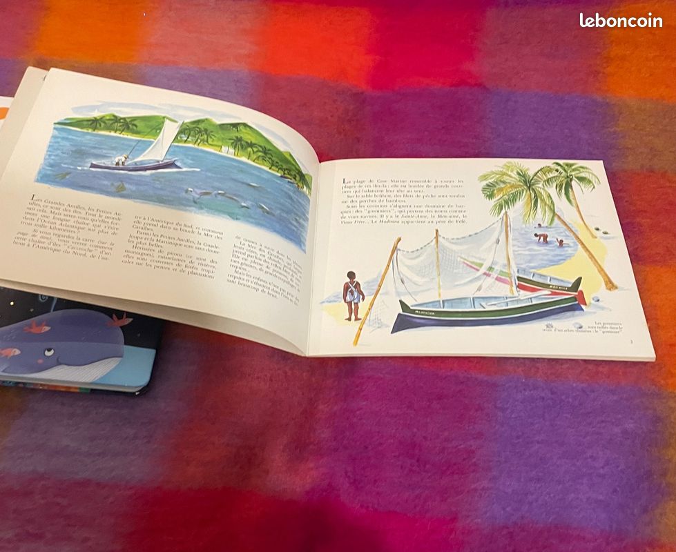 Féfé des Antilles (image 2)