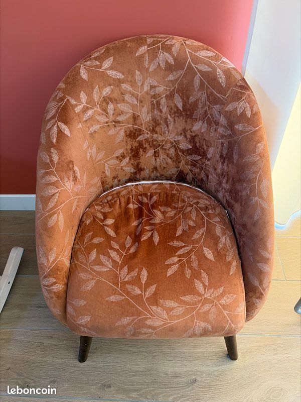 Fauteuil salon (image 1)