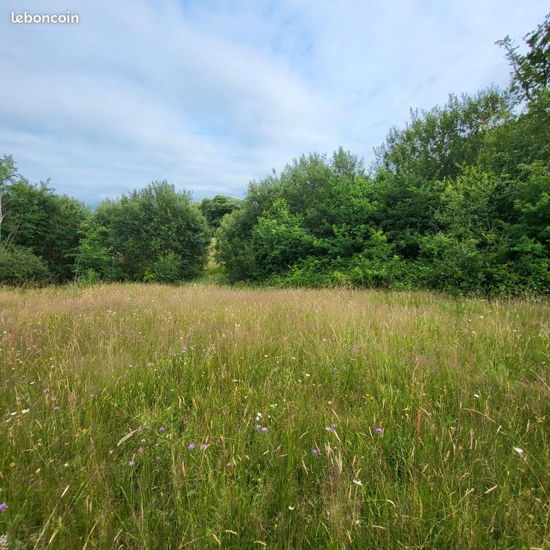A vendre 6hectare prairies et forêt · à Langon · 95 000 €